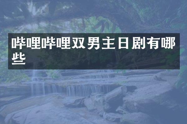 哔哩哔哩双男主日剧有哪些