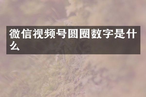 微信视频号圆圈数字是什么
