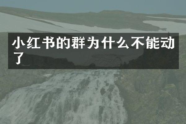 小红书的群为什么不能动了