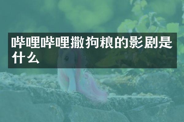哔哩哔哩撒的影剧是什么