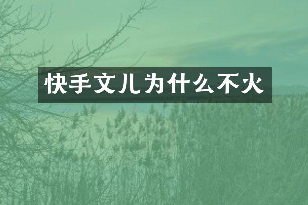 快手文儿为什么不火