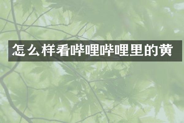 怎么样看哔哩哔哩里的黄