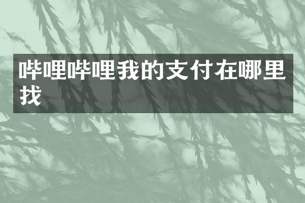 哔哩哔哩我的支付在哪里找