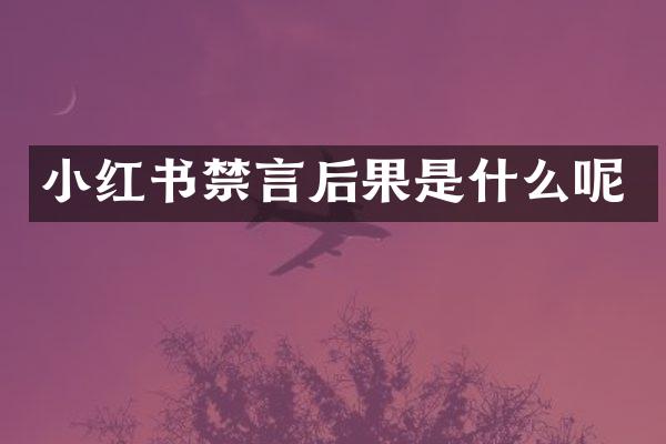 小红书禁言后果是什么呢