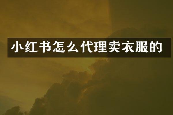 小红书怎么代理卖衣服的