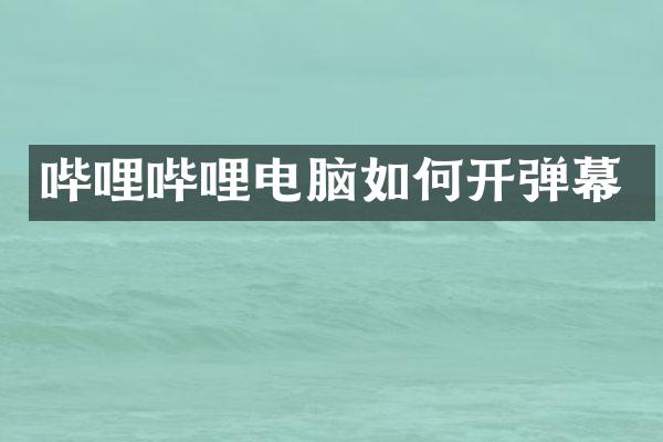 哔哩哔哩电脑如何开弹幕