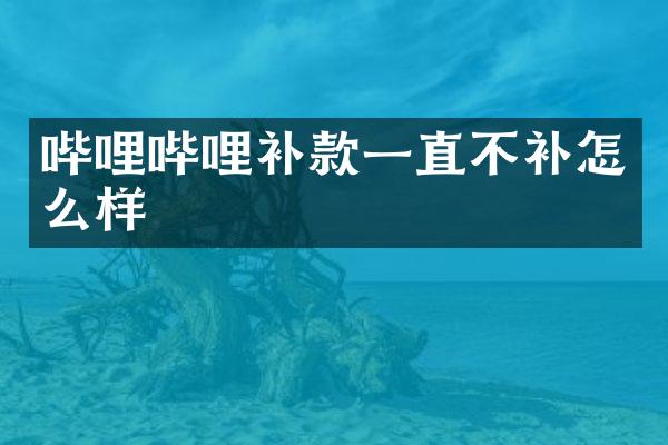 哔哩哔哩补款一直不补怎么样