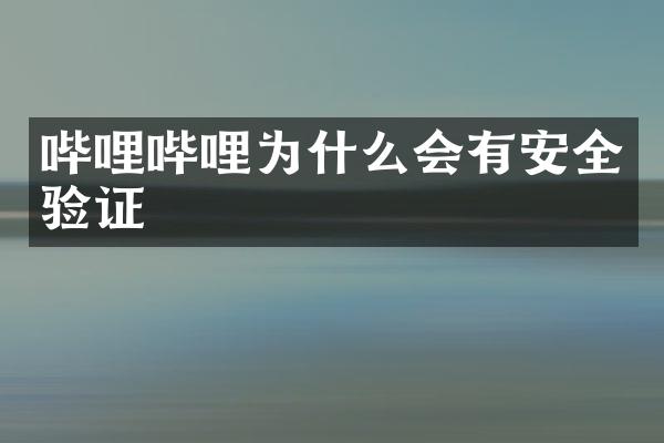 哔哩哔哩为什么会有安全验证