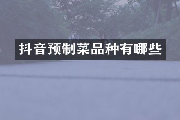 抖音预制菜品种有哪些