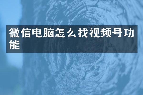 微信电脑怎么找视频号功能