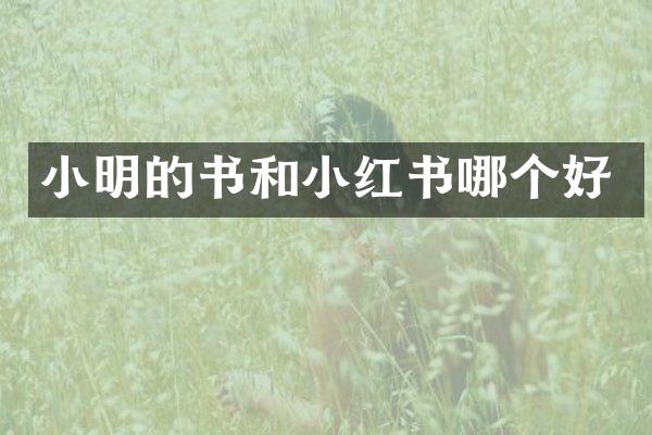 小明的书和小红书哪个好
