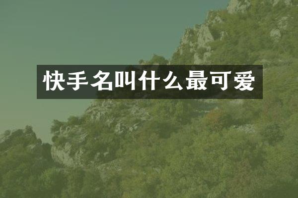 快手名叫什么最可爱