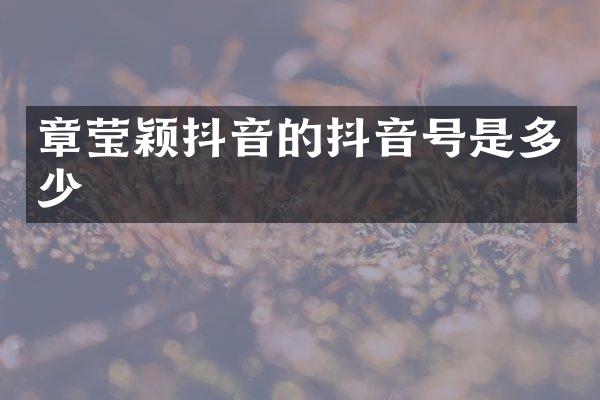 章莹颖抖音的抖音号是多少