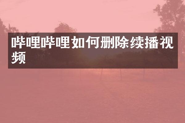 哔哩哔哩如何删除续播视频