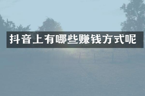抖音上有哪些赚钱方式呢