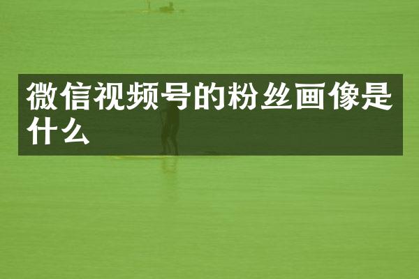 微信视频号的粉丝画像是什么