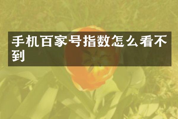 手机百家号指数怎么看不到