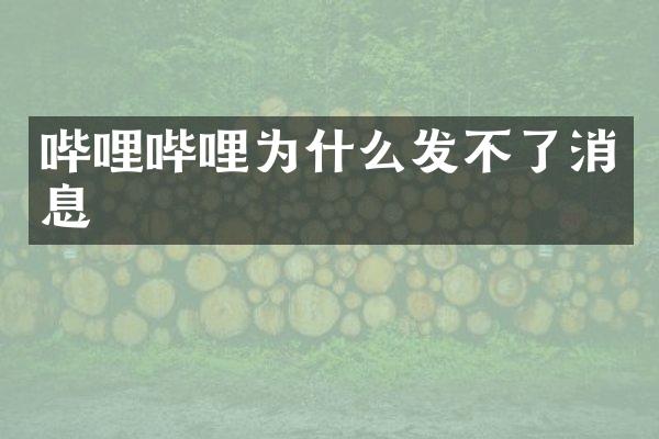 哔哩哔哩为什么发不了消息