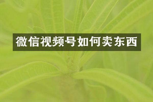 微信视频号如何卖东西