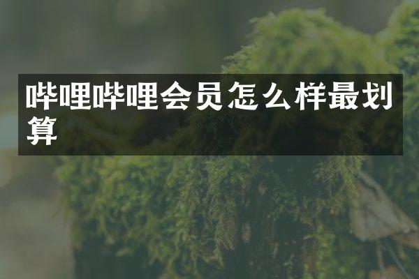 哔哩哔哩会员怎么样最划算