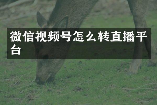 微信视频号怎么转直播平台