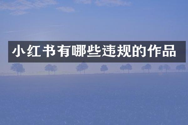 小红书有哪些违规的作品