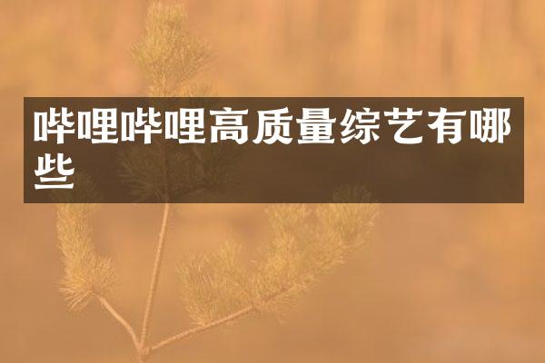 哔哩哔哩高质量综艺有哪些