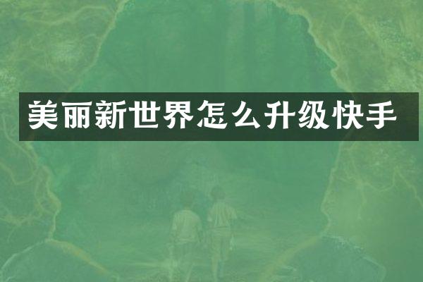 美丽新世界怎么升级快手