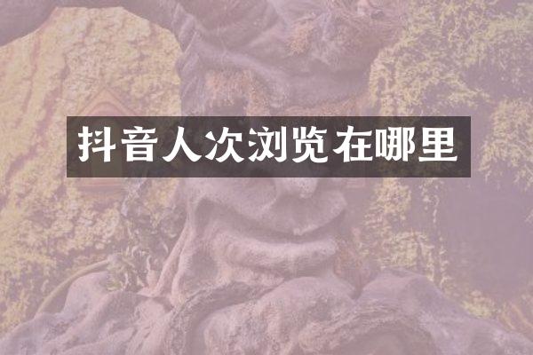 抖音人次浏览在哪里