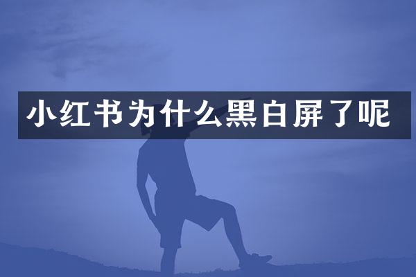 小红书为什么黑白屏了呢