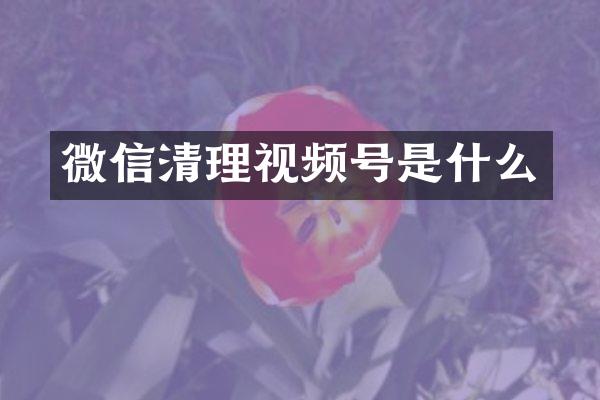 微信清理视频号是什么