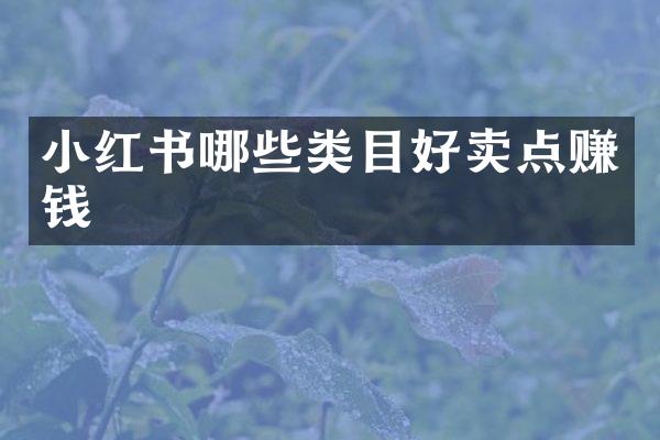 小红书哪些类目好卖点赚钱