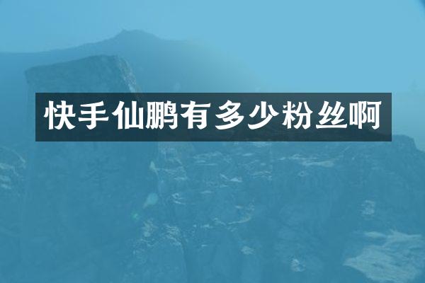快手仙鹏有多少粉丝啊