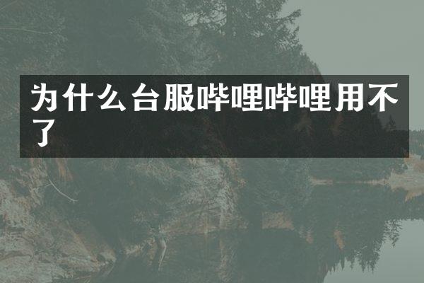 为什么台服哔哩哔哩用不了
