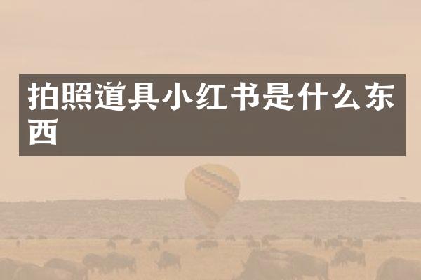 拍照道具小红书是什么东西