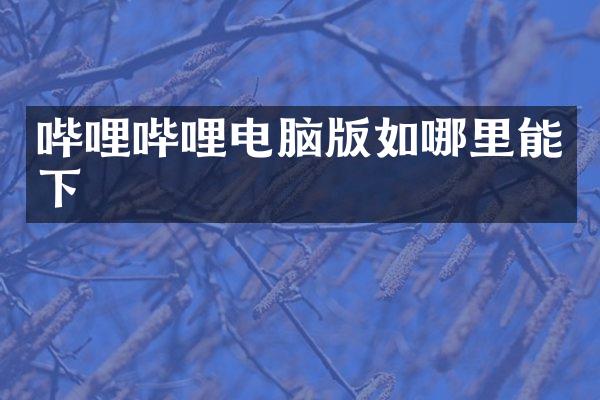 哔哩哔哩电脑版如哪里能下