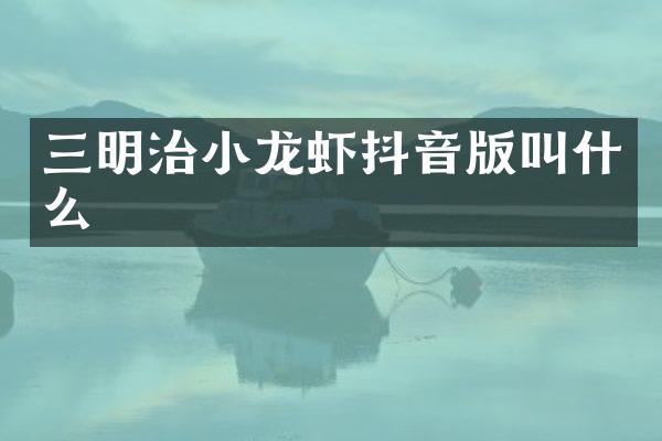 三明治小龙虾抖音版叫什么