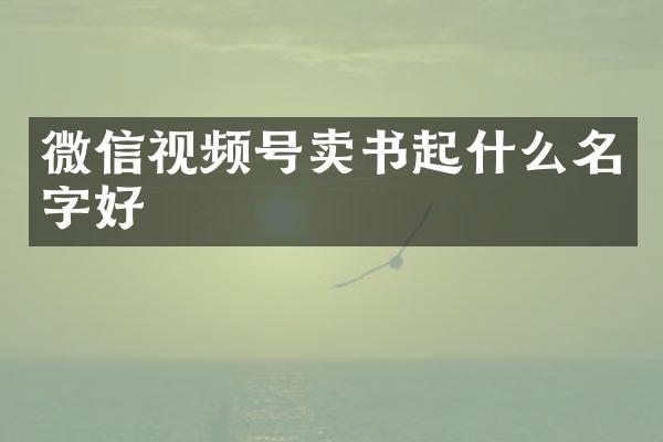 微信视频号卖书起什么名字好