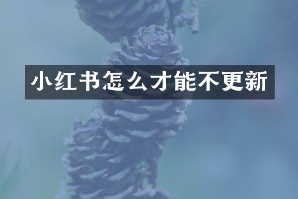 小红书怎么才能不更新