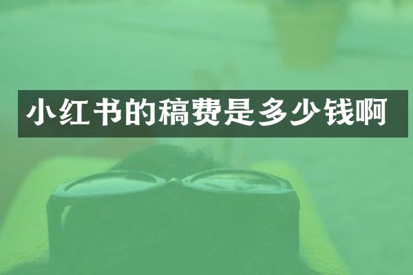 小红书的稿费是多少钱啊