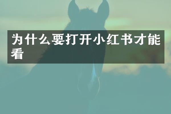 为什么要打开小红书才能看