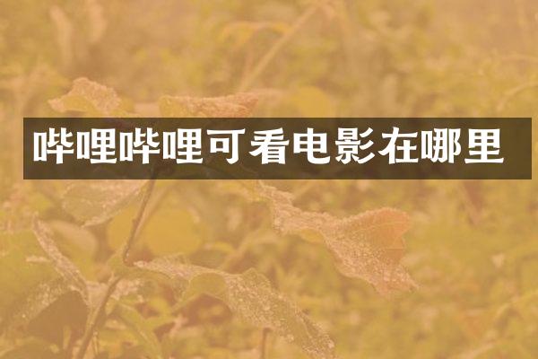 哔哩哔哩可看电影在哪里