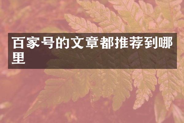 百家号的文章都推荐到哪里
