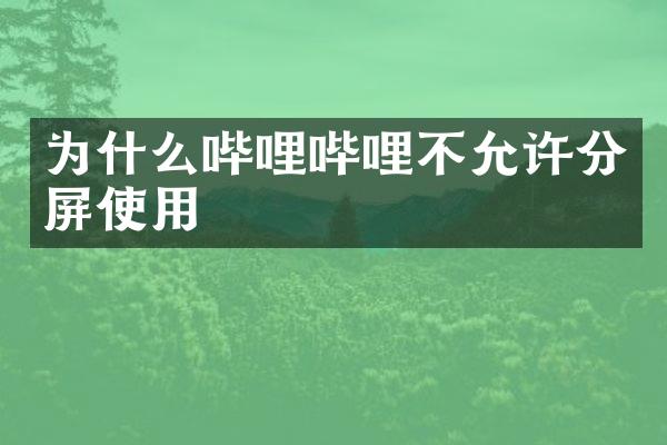 为什么哔哩哔哩不允许分屏使用