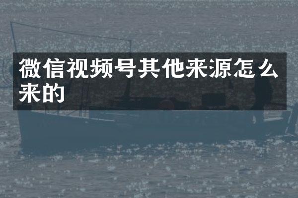 微信视频号其他来源怎么来的
