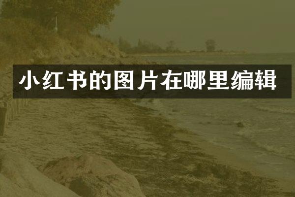 小红书的图片在哪里编辑