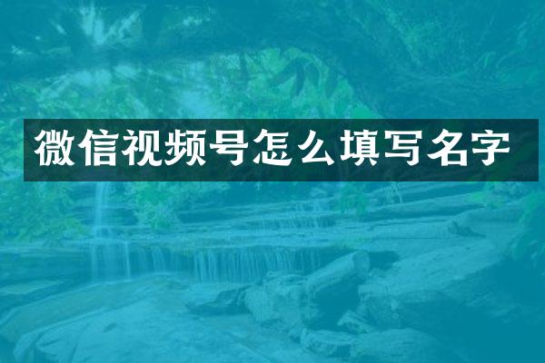 微信视频号怎么填写名字