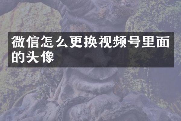 微信怎么更换视频号里面的头像