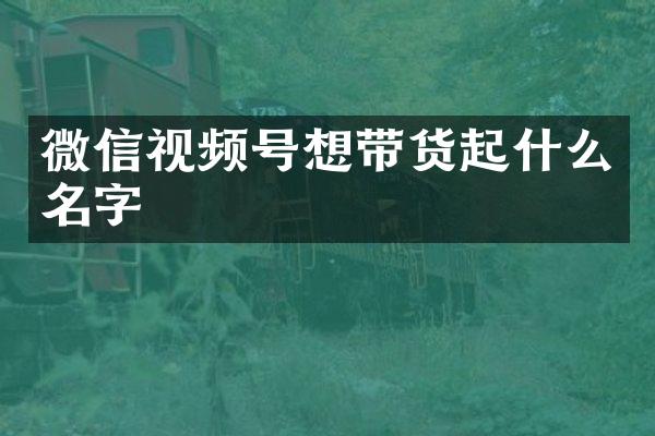 微信视频号想带货起什么名字