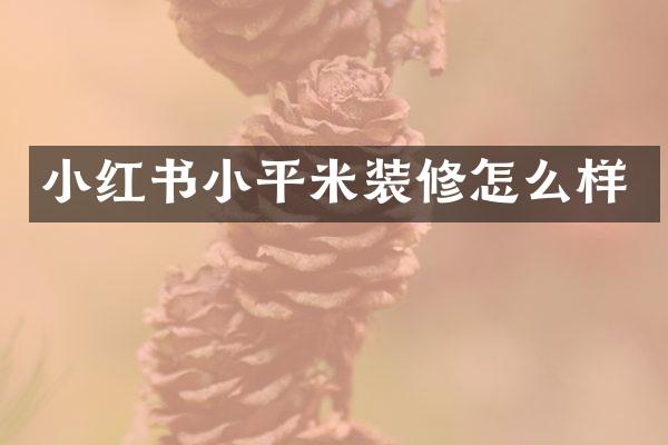 小红书小平米装修怎么样